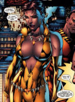 Vixen (Mari Jiwe McCabe) (Justice League of America) (DC Direct) Custom Action Figure