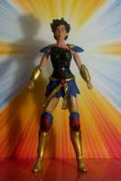 TROIA Donna Troy New Titans (DC Universe) Custom Action Figure