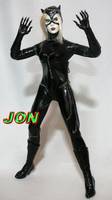 Berserk Catwoman (Batman - Movie Style) Custom Action Figure