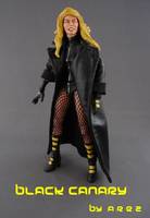 Black Canary (DC Universe) Custom Action Figure