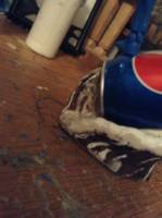 Pepsi Man Statue (Pepsiman) Custom Statue / Bust