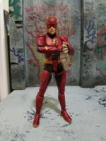The flash (Flash) Custom Action Figure