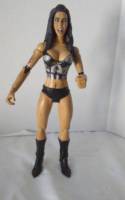 Salinas (Wrestling) Custom Action Figure