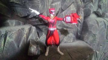S.H.Figuarts Zyuoh Whale (Power Rangers) Custom Action Figure