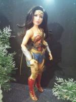 Wonder Woman (Wonder Woman) Custom Action Figure