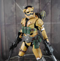 Range Trooper (Star Wars) Custom Action Figure