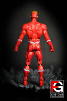 DCUC Flash Rebirth Wally West (DC Universe) Custom Action Figure
