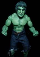 Lou Ferrigno Hulk (Hulk - Movie) Custom Action Figure