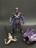 Skeletor and Panthor (Marvel Universe) Custom Action Figure