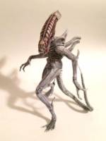 Albino Xenomorph (Aliens) Custom Action Figure