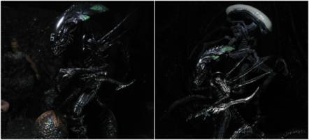 Xenomorph Praetorian (Alien vs Predator) Custom Action Figure