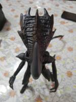 Praetorian Alien (Aliens) Custom Action Figure