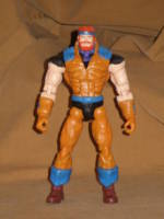 Sea Hawk (Masters of the Universe) Custom Action Figure