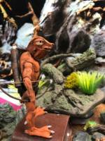 Groock- Bullywog /Hunter (Dungeons and Dragons) Custom Action Figure