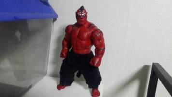 naver webtoon tiger brother-mukeo (Anime) Custom Action Figure