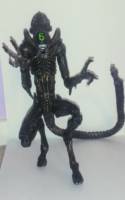 Specimen 6 (2010 AVP Game) (Alien vs Predator) Custom Action Figure