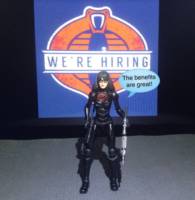 Baroness (V2) (G.I. Joe) Custom Action Figure