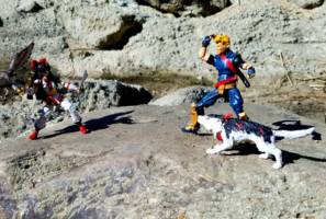 Galford & Poppy (Samurai Shodown) Custom Action Figure