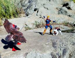 Nakoruru (Samurai Shodown) Custom Action Figure