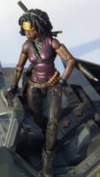 Michonne (The Walking Dead/ Image) (Marvel Legends) Custom Action Figure