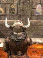 Ragnarick Shattershield (Dungeons and Dragons) Custom Action Figure