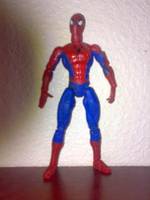 Spider-Man (Spider-Man) Custom Action Figure