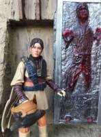 Leia (Boushh) (Star Wars) Custom Action Figure