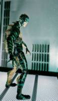 Amphibian Man (The Shape of Water) (Creatures) Custom Action Figure