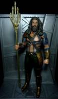 Aquaman Batman v Superman movie (DC Universe) Custom Action Figure