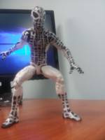 Negative zone spiderman (Marvel Legends) Custom Action Figure