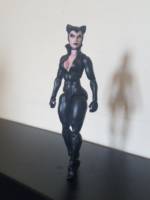 Catwoman (Batman) Custom Action Figure