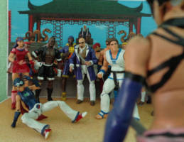 Kim Kaphwan (Fatal Fury) Custom Action Figure [Here comes a new challenger]