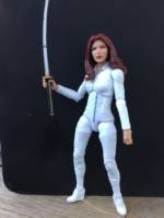Colleen Wing (Daughters of the dragon) (Marvel Legends) Custom Action Figure