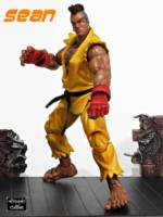Sean (Street Fighter) Custom Action Figure