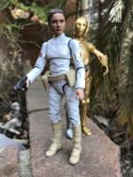 Star Wars Padme (Star Wars) Custom Action Figure