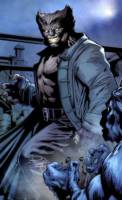 Dark Beast (Marvel Universe) Custom Action Figure