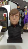 Luke Skywalker Jedi Knight (3D Printed Bust) (Star Wars) Custom Statue / Bust [Jedi Knight]